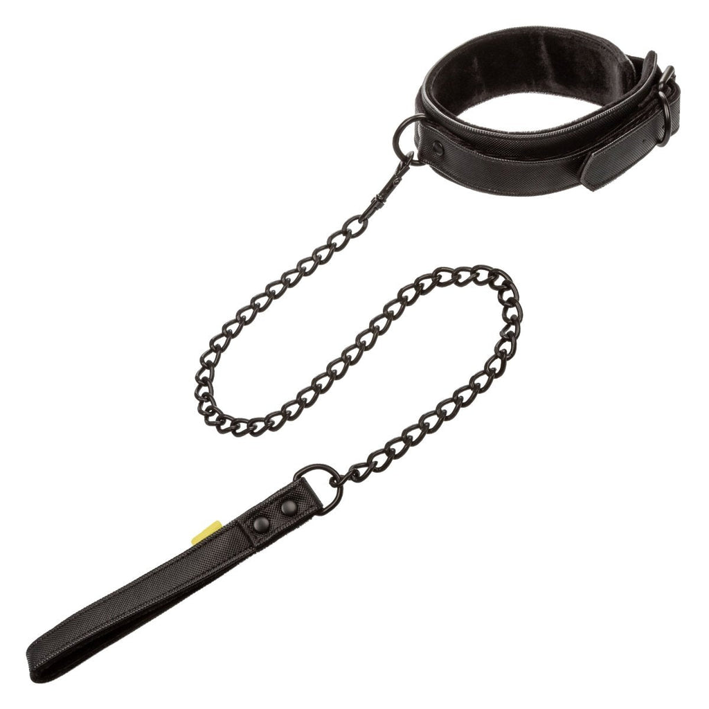 Boundless Collar &amp; Leash - TruLuv Novelties