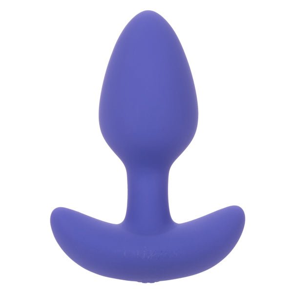 Calexotics Connect Tapered Probe - Purple - TruLuv Novelties