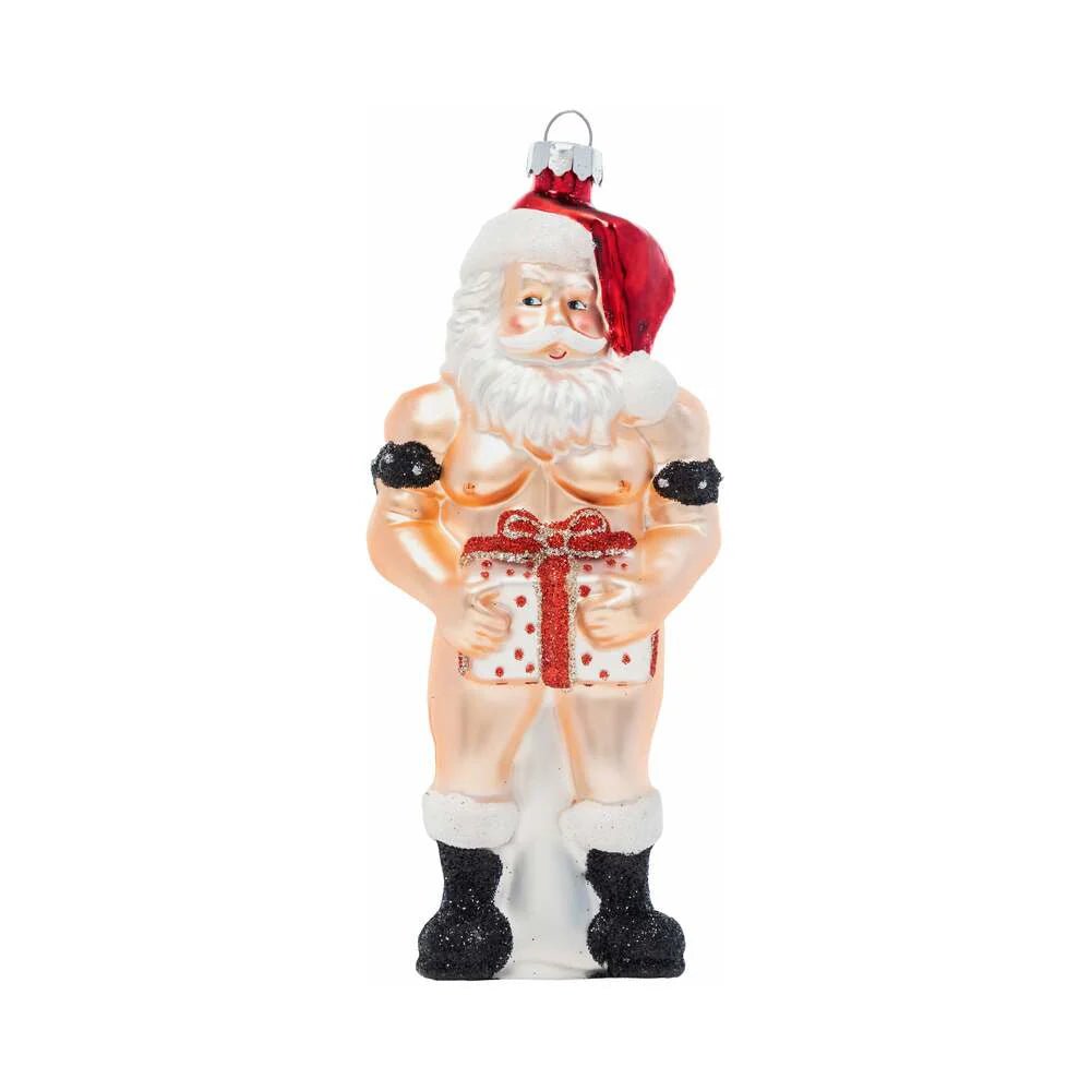 Cheeky Pornament Stiff Package - TruLuv Novelties