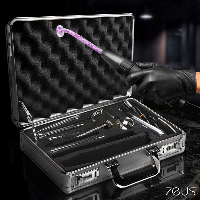 Zs Ultimate Edition Violet Wand Set - TruLuv Novelties